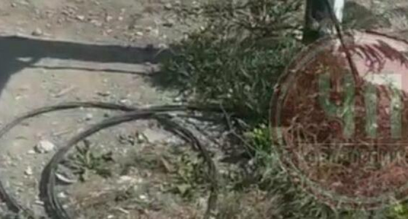 В Новороссийске на улице Набережной провисли провода: их «хозяина» не могут найти