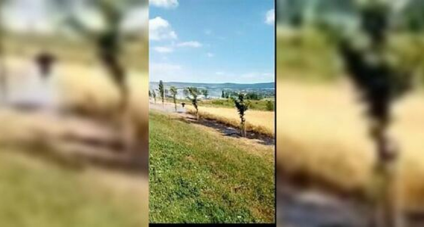 Неподалеку от гольф клуба в станице Раевской произошло возгорание сухой травы