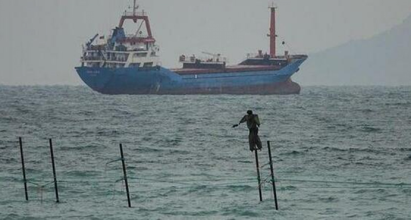 Морское «чудище» обнаружено под Новороссийском