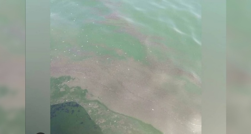 Жители Новороссийска заметили в акватории Цемесской бухты грязное пятно