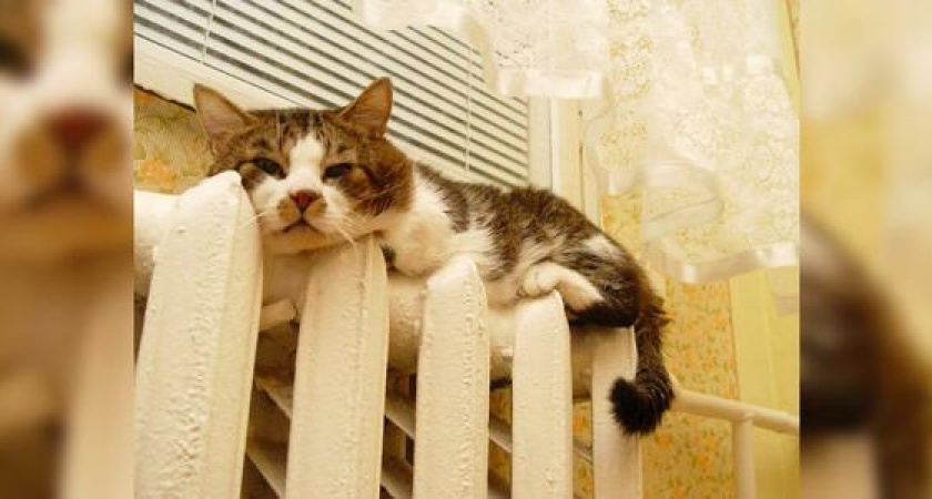 Стало известно, когда в Новороссийске начнется отопительный сезон