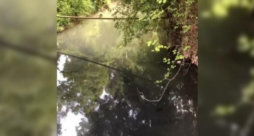 Из канавы в реку, из реки – в море. В пригороде Новороссийска нечистоты вытекают рядом с пляжем