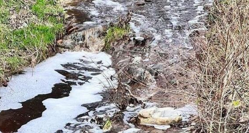 Вода цвета крепкого индийского чая: в реку Озереевка под Новороссийском стекают нечистоты