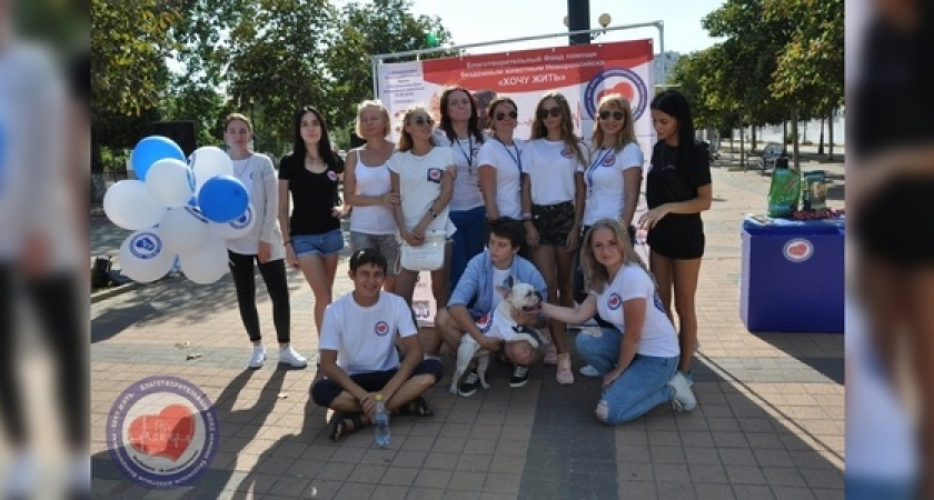 Лотерея, мастер-классы и фотовыставка: завтра в Новороссийске состоится акция помощи бездомным животным  «Территория добра»