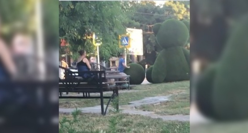 "Ребенок ломает, а мать молчит!": жители Новороссийска сняли на видео, как школьник рушит топиарий