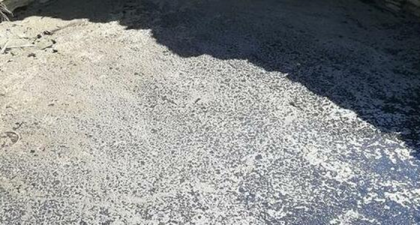 Родник «Горлатый» в Новороссийске превратился в лужу смердящей грязи