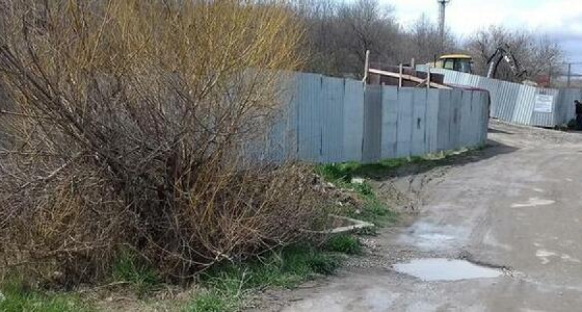 "У них есть порубочный билет!": отдел экологической безопасности Новороссийска не будет спасать деревья на стройке детского сада рядом с Пионерской рощей