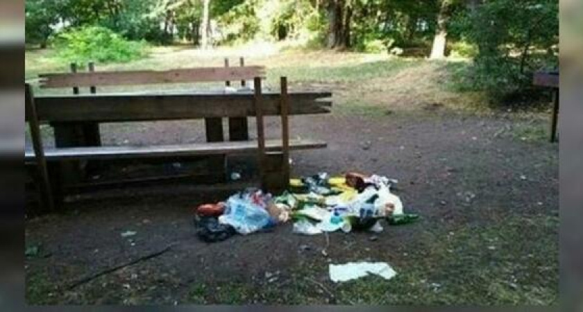 «Надеюсь, кто вчера там был, увидят этот пост и хрюкнут!»: горы мусора оставляют после себя отдыхающие в Пионерской роще Новороссийска