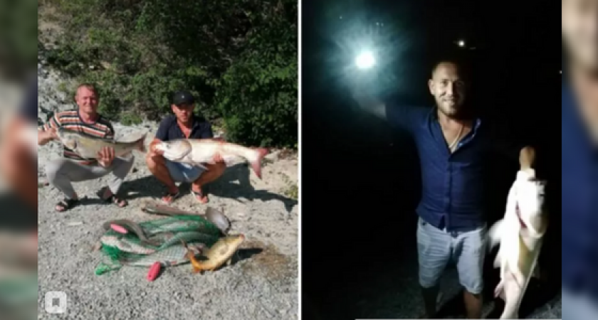 Житель Новороссийска поймал 8-килограммового толстолобика в озере Абрау под Новороссийском