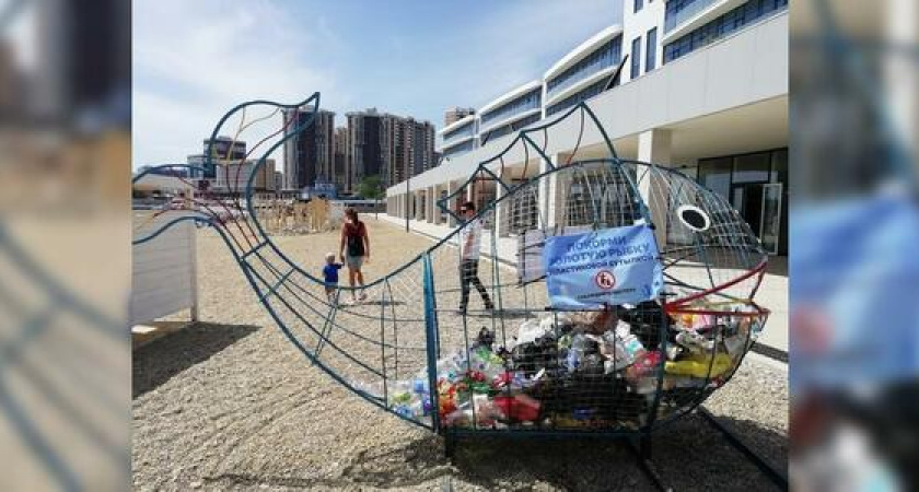 Идея раздельной утилизации отходов на пляжах Новороссийска провалилась