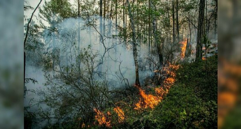 На территории Новороссийска объявлен особый противопожарный режим