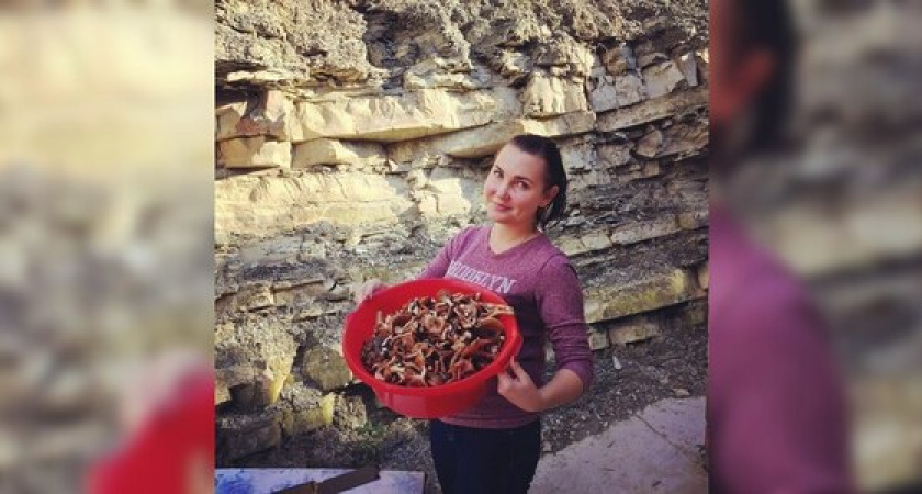 Карта грибных мест Новороссийска: где в окрестностях города насобирать полное ведро опят и сыроежек