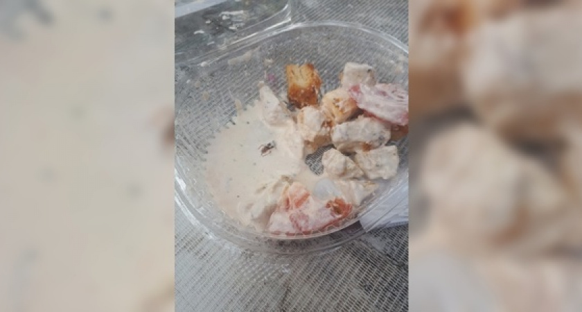Жительница Новороссийска обнаружила таракана в салате, купленном в «Магните»