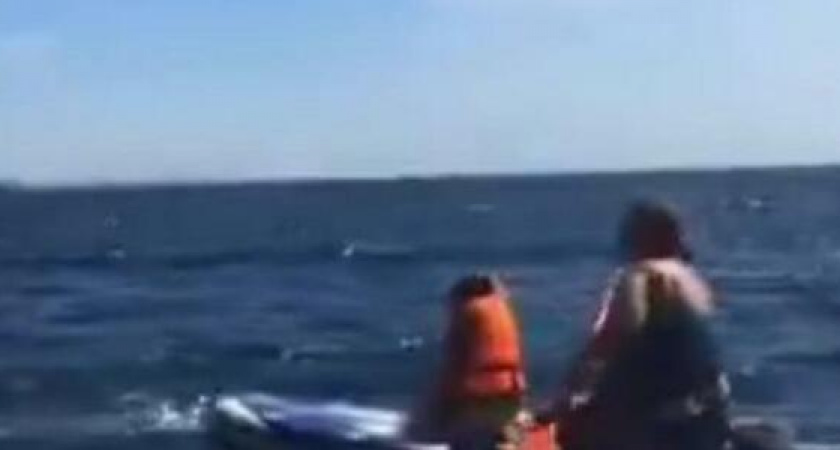 В Широкой Балке отдыхающие спасли женщину с ребенком, которых на сап-доске ветер уносил в море