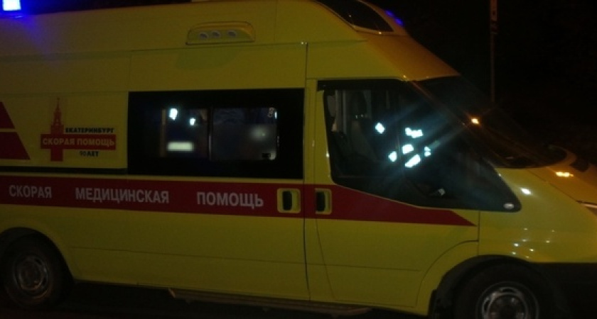 Две девушки погибли на трассе под Новороссийском, пытаясь спасти собаку