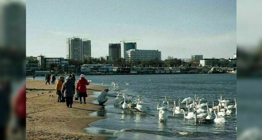 В Новороссийске и в крае живут самые счастливые люди в стране. Круче только ханты-манси