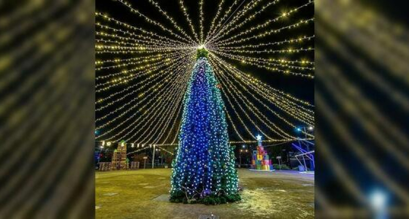 «Возьми быка за рога» и «Новогодний телемост»: какие Новогодние и Рождественские мероприятия пройдут в Новороссийске