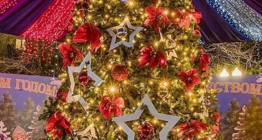 Новороссийцам предложили определить праздничные локации на следующий Новый Год