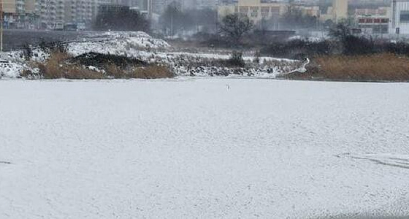 Ледяной плен: лиман Суджукской косы в Новороссийске замерз (красивые фото)