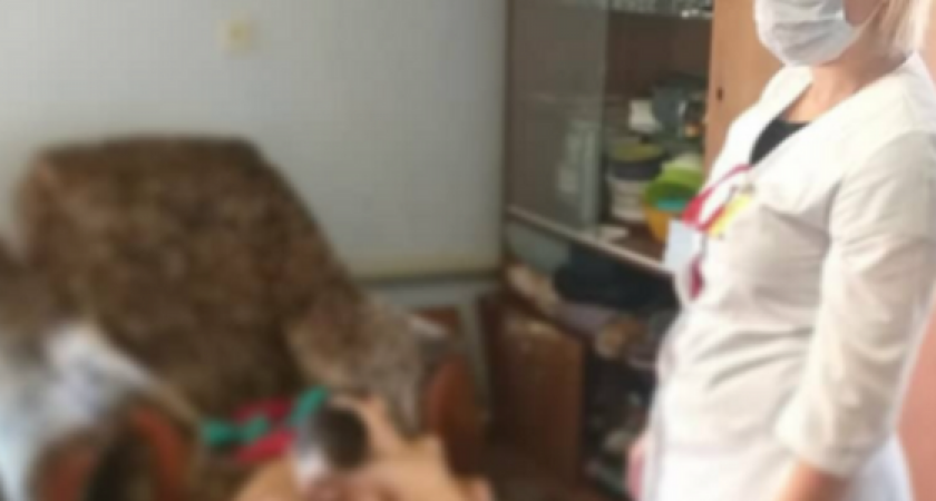 В квартире - антисанитария, у детей - кожные заболевания: в Новороссийске мать привлекли к административной отвественности