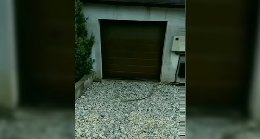 Новороссиец снял на видео, как его сосед откачивают септик прямо на улицу