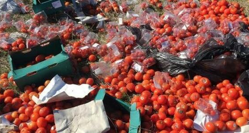 "Сказать, что я в шоке - ничего не сказать!" Новороссиец обнаружил горы выброшенных овощей и фруктов