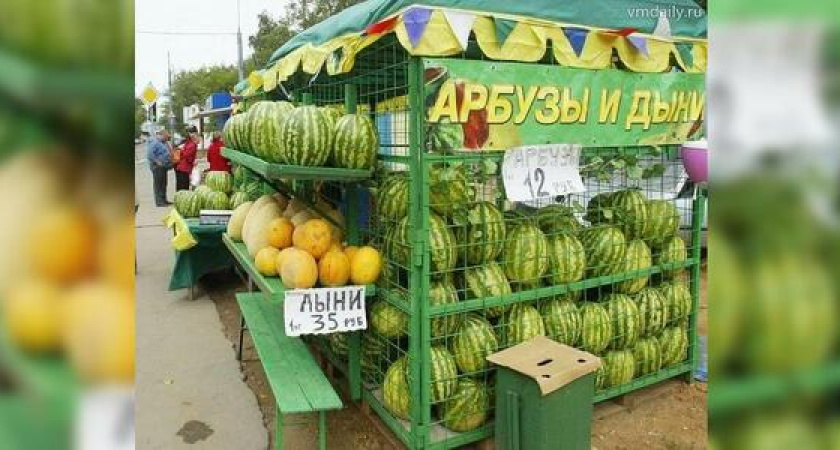 95 предпринимателей будут осуществлять сезонную летнюю торговлю в Новороссийске