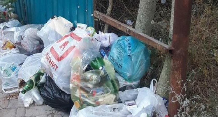 Жители новороссийского курортного поселка жалуются на отсутствие урн и антисанитарию на улицах