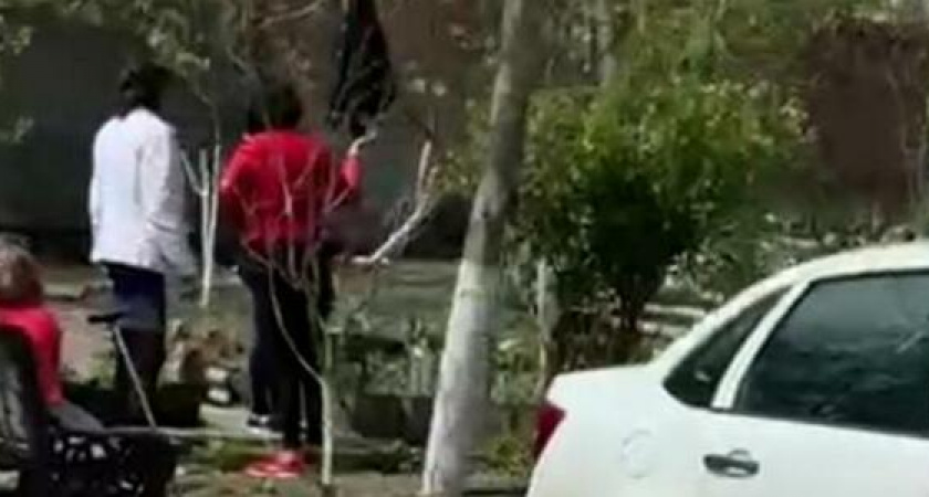 Представительницы прекрасного пола жарят шашлыки во дворе многоэтажки Новороссийска