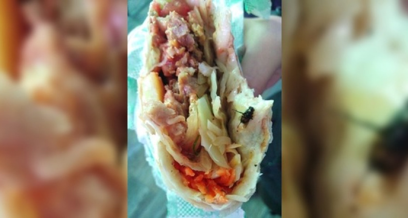 Житель Новороссийска обнаружил мертвую муху в шаурме