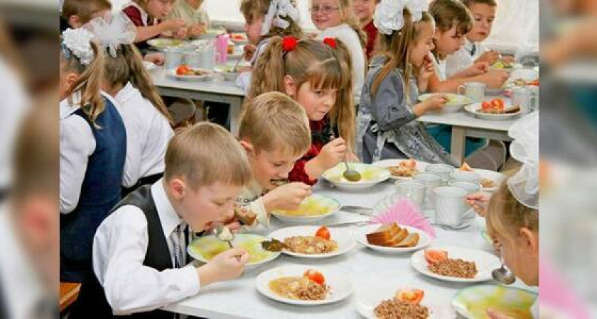 Жители Новороссийска смогут пожаловаться на питание в школьных столовых: Роспотребнадзор открыл «горячую линию»