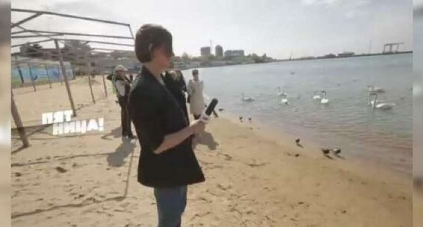 Главгосэкспертиза одобрила проект капитального ремонта дороги  Новороссийск — Керчь: как изменится трасса