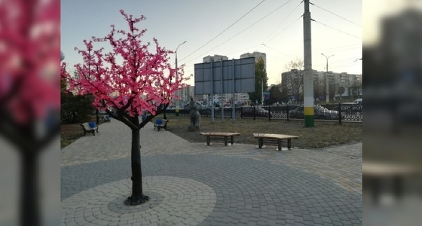 Розовые сакуры в сквере по проспекту Дзержинского в Новороссийске больше не светятся