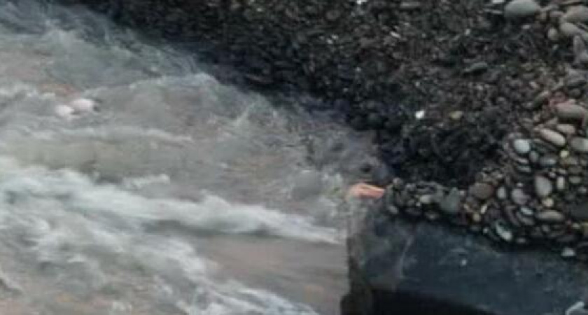 После дождя в Новороссийске вода с ароматом фекалий из ливневок хлынула в море