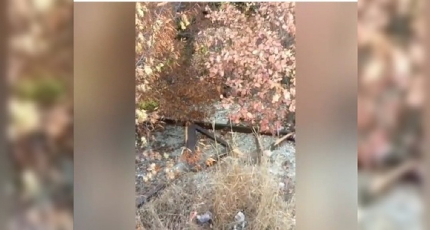 Вандалы повредили ограждение на смотровой площадке в Абрау-Дюрсо