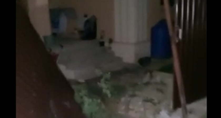 Под Новороссийском автомобиль снес ворота частного дома и врезался в столб электропередач