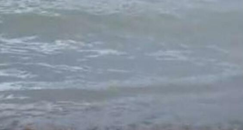 В Новороссийске по городскому пляжу бегают крысы