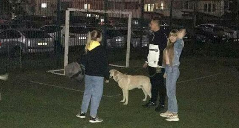 Владельцу собак, выгуливавшему животных на детской площадке в Новороссийске, придется заплатить штраф