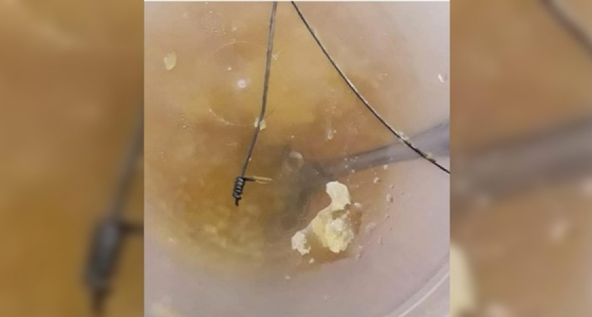 «Дочь чудом не подавилась»: жительница Новороссийска обнаружила куски проволоки в медовых сотах, купленных на ярмарке