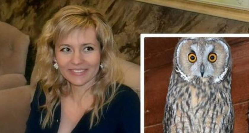 Волонтер из Новороссийска за год вылечила 90 птиц, 52 из которых уже вернулись в природу