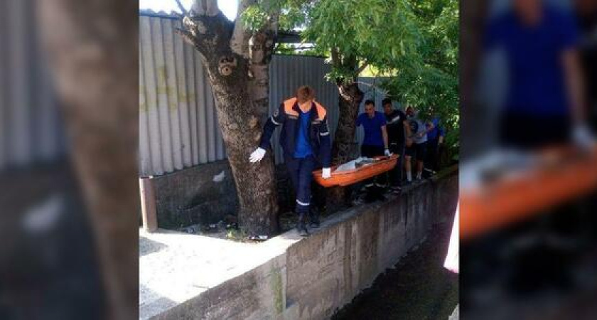 Спасатели Новороссийска вытащили из канавы истекающую кровью собаку