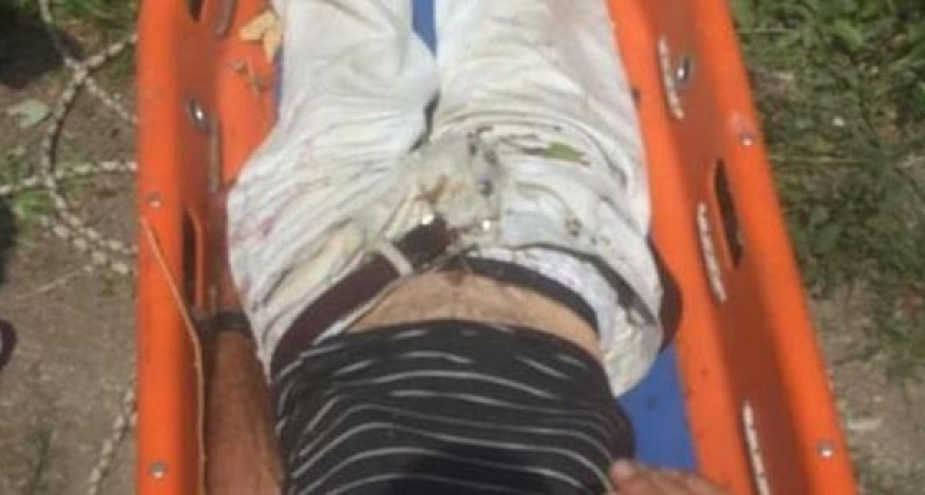 Житель Новороссийска упал в овраг и застрял в колючих кустах ежевики: вызволять его пришлось спасателям