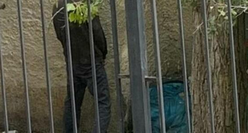 «Никакого уважения!»: новороссийцы справляют нужду под окнами детского сада