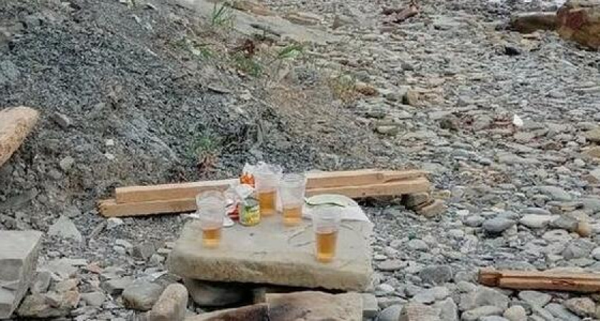 "Свинство - это мягко сказано!": на диких пляжах и в лесу Новороссийска остаются горы мусора после пикников