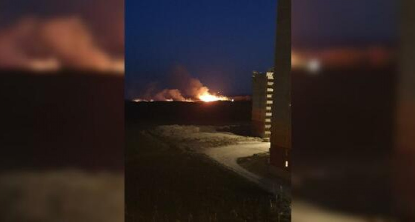 Новороссийцы сняли на видео полыхающее в Алексино поле