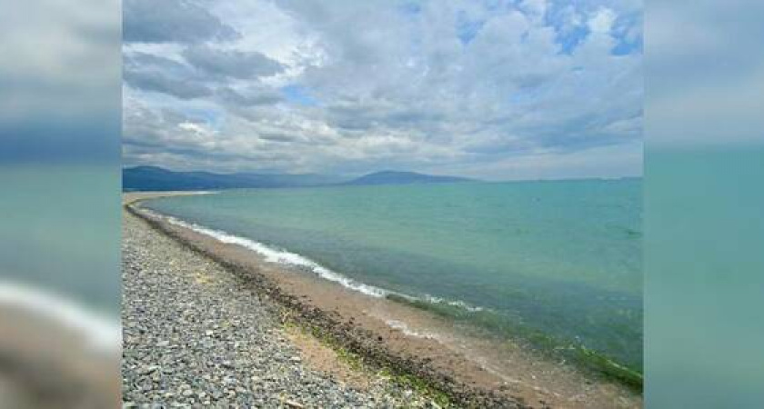 Сегодня в Новороссийске пройдет экологический субботник по уборке прибрежных территорий