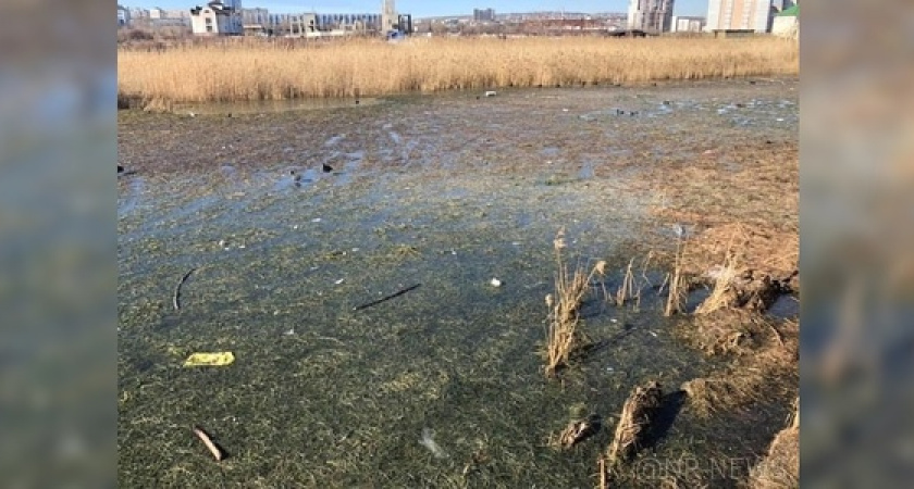 Суджукская лагуна утопает в мусоре