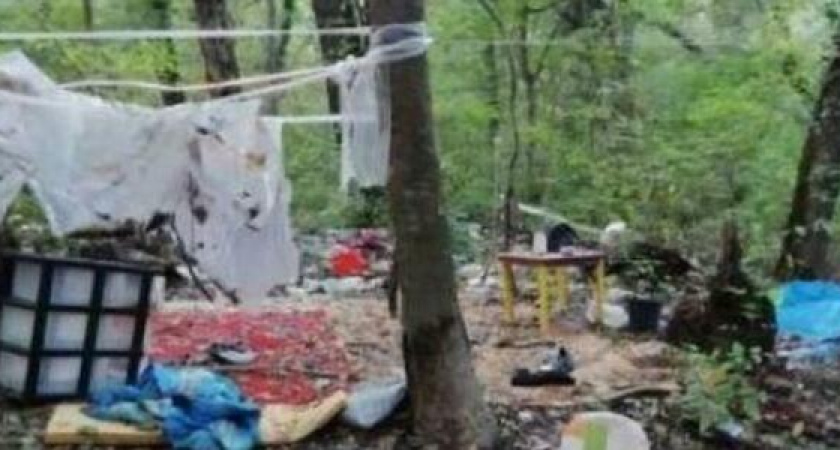 «Кочевые бомжи» устроили экологическую диверсию в Цемесской роще