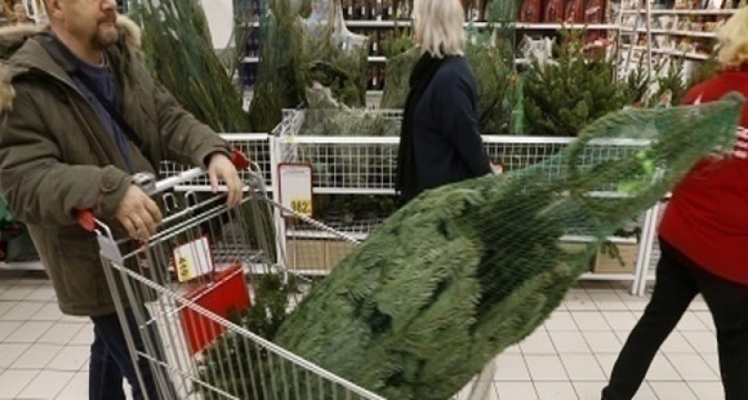 Что делать, если не хватает денег на празднование Нового года?