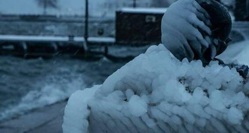 Февральский норд-ост и обледеневшая набережная Новороссийска: 23 очень холодных фото